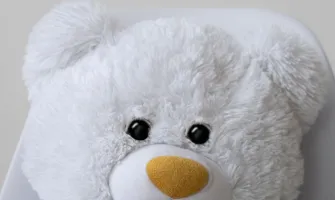Peluş Oyuncak Seçerken ve Temizlerken Nelere Dikkat Edilmeli?