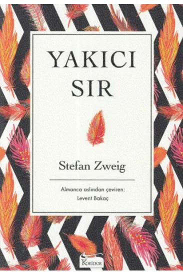 Yakıcı Sır - Ciltsiz