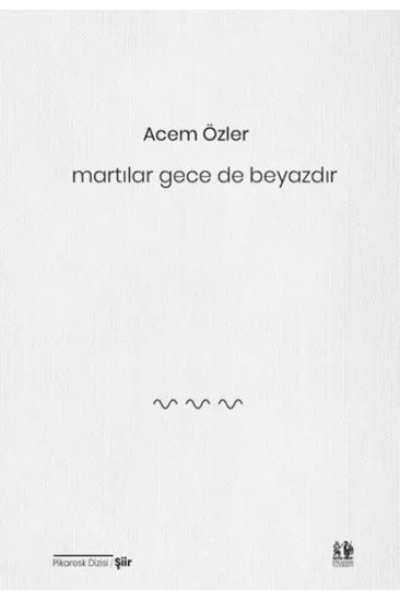 Martılar Gece de Beyazdır Martılar Gece de Beyazdır
