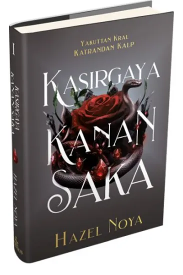 Kasırgaya Kanan Saka 1 (Ciltli)