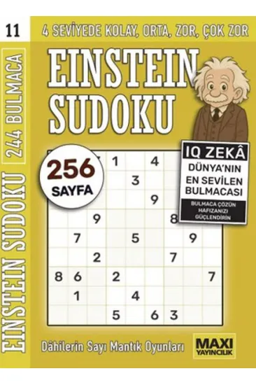 Einstein Sudoku 11
