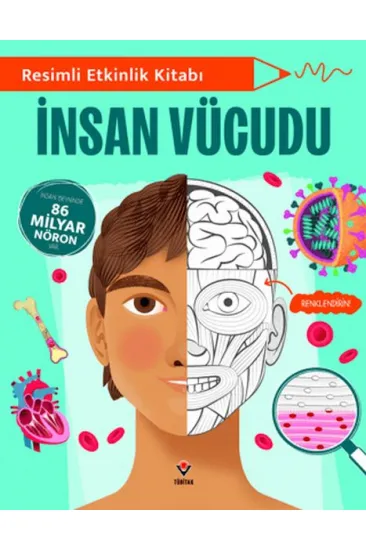 Resimli Etkinlik Kitabı - İnsan Vücudu