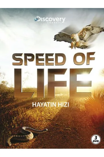 Speed Of Life - Hayatın Hızı Speed Of Life - Hayatın Hızı