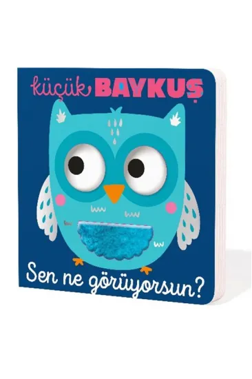 Küçük Baykuş Sen Ne Görüyorsun?