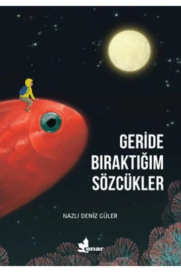 Geride Bıraktığım Sözcükler