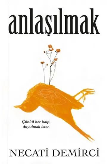 Anlaşılmak