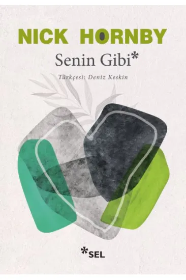 Senin Gibi