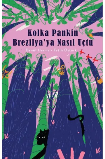 Kolka Pankin Brezilya’ya Nasıl Uçtu Kolka Pankin Brezilya’ya Nasıl Uçtu