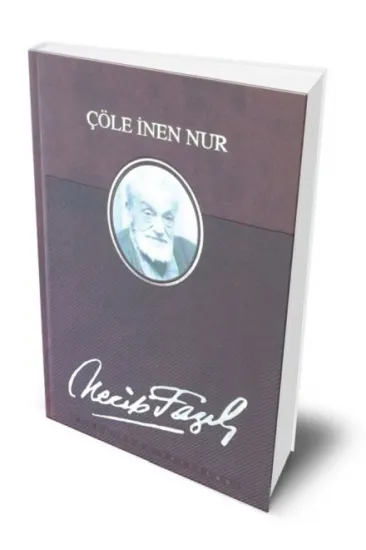 Çöle İnen Nur (Deri Ciltli) Çöle İnen Nur (Deri Ciltli)