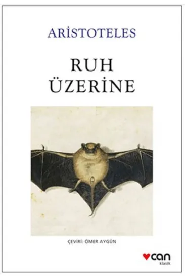 Ruh Üzerine Ruh Üzerine