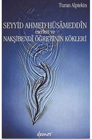 Seyyid Ahmed Hüsameddin Eserleri ve Nakşibendi Öğretinin Kökleri Seyyid Ahmed Hüsameddin Eserleri ve Nakşibendi Öğretinin Kökleri