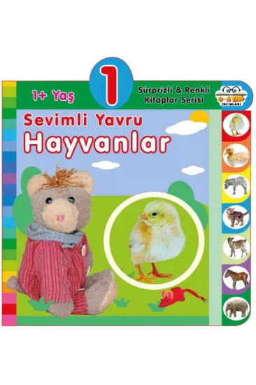 Yaş Sevimli Yavru Hayvanlar (1+Yaş)