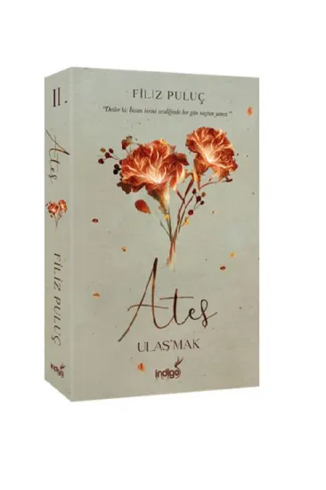 Ateş - Ulaş'mak Ateş - Ulaş'mak
