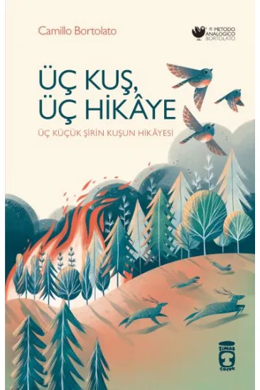 Üç Kuş, Üç Hikâye
