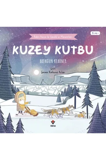 Kuzey Kutbu Kuzey Kutbu