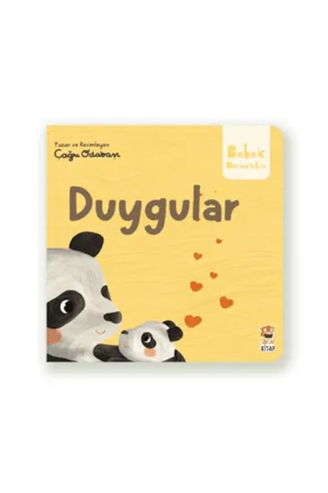 Duygular Duygular
