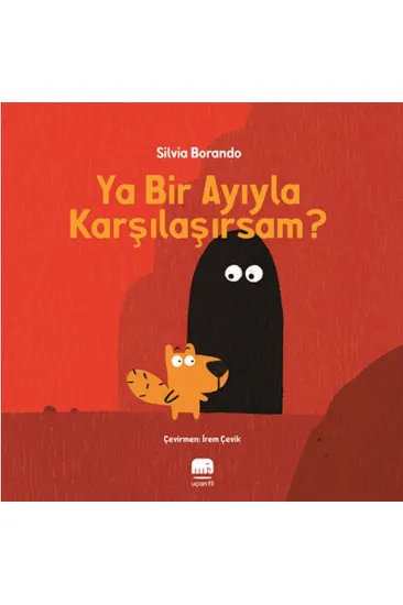 Ya Bir Ayıyla Karşılaşırsam?