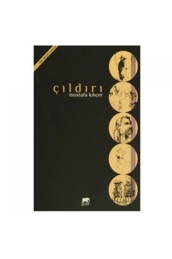 Çıldırı