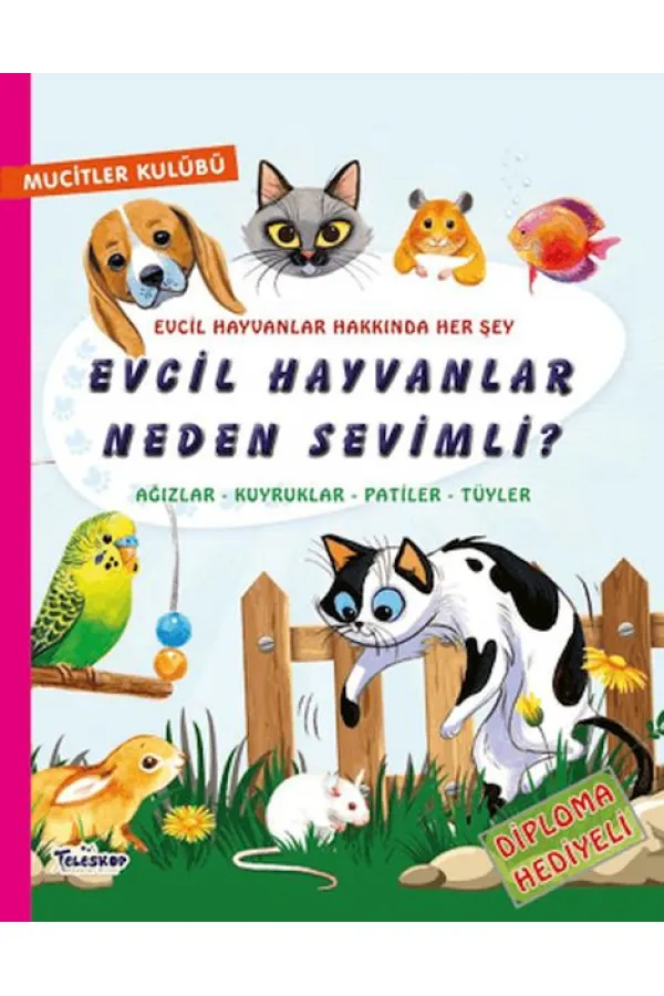 Evcil Hayvanlar Neden Sevimli?