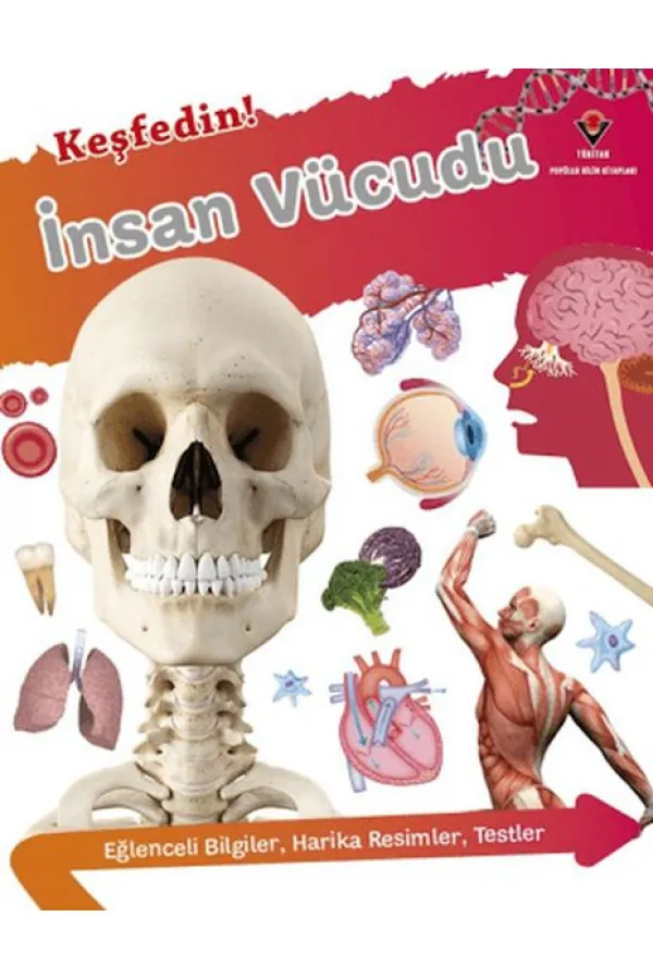 Keşfedin! İnsan Vücüdu