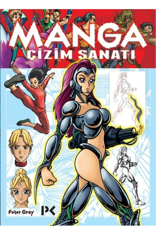 Manga - Çizim Sanatı