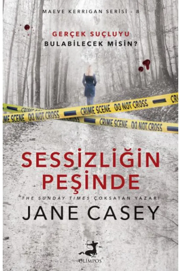 Sessizliğin Peşinde
