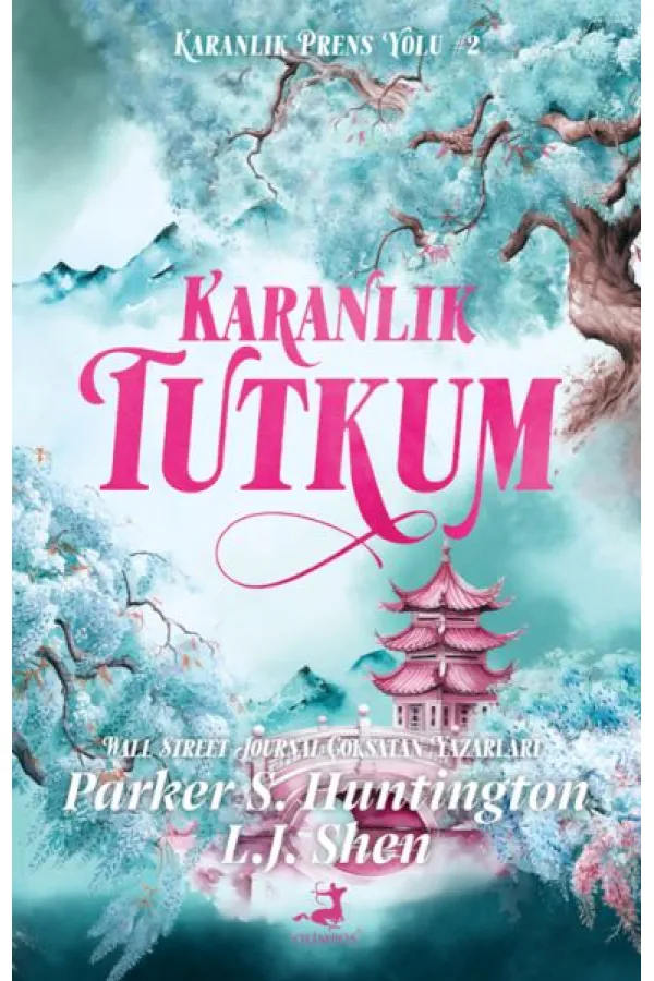 Karanlık Tutkum