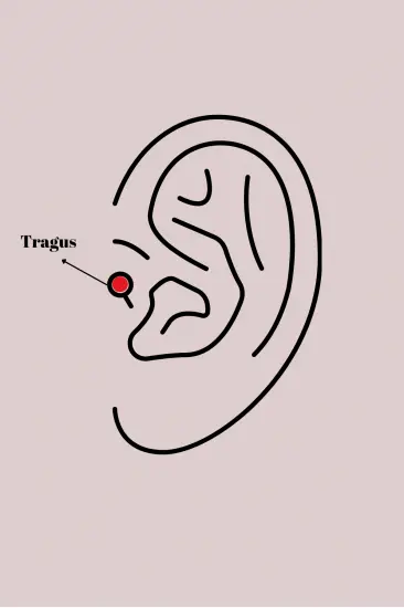 316L Çelik Gümüş Renk Pembe Mineli Kalp Zirkon Taş Detay Tragus Piercing 316L Çelik Gümüş Renk Pembe Mineli Kalp Zirkon Taş Detay Tragus Piercing