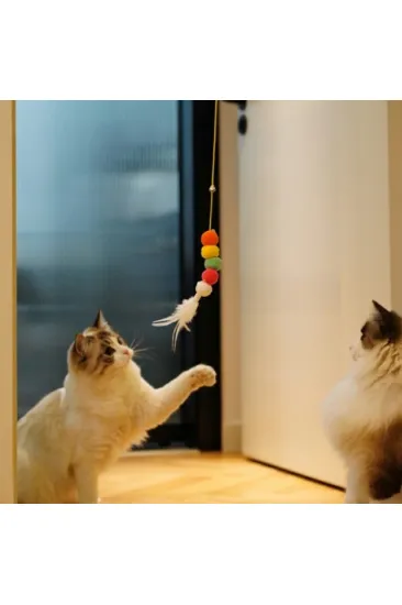 Elastik Kendinden Yapışkanlı Solucan Kedi Oltası (5637) Elastik Kendinden Yapışkanlı Solucan Kedi Oltası (5637)