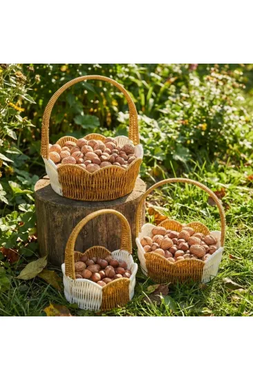 İç İçe Geçebilen 3’lü Çift Renkli Yuvarlak Dalgalı Formlu Saplı Plastik Rattan Sepet Seti – Hasır Görünümlü Çok Amaçlı Organizerler (5637) İç İçe Geçebilen 3’lü Çift Renkli Yuvarlak Dalgalı Formlu Saplı Plastik Rattan Sepet Seti – Hasır Görünümlü Çok Amaçlı Organizerler (5637)