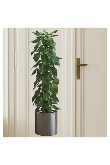 Saksılı Bitki Tasarımlı Yapışkanlı Sticker Resim 90*30 cm (5637)