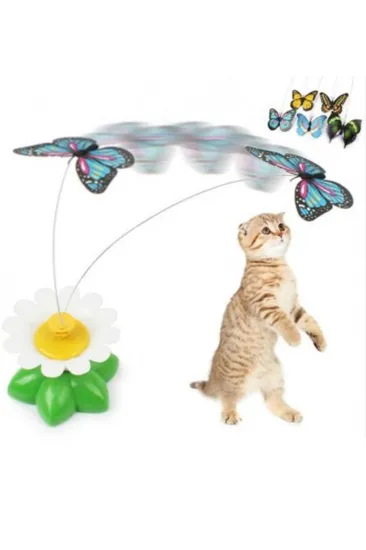 Hareketli Dönen Kelebek - Kedi Oyuncağı ( Pille Çalışır) (5637) Hareketli Dönen Kelebek - Kedi Oyuncağı ( Pille Çalışır) (5637)