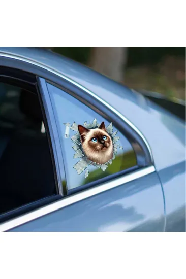 Fulcar Siamesse Araç Stickerı Fulcar Siamesse Araç Stickerı