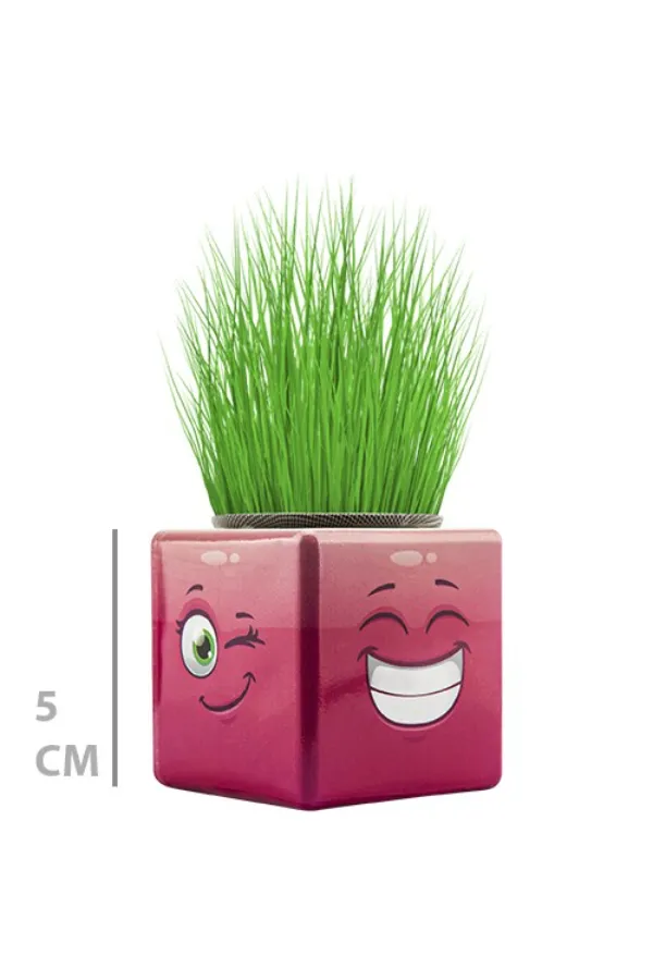 Çim Adam Mini Küp Emoji Figürlü 1 Adet Çim Adam Mini Küp Emoji Figürlü 1 Adet