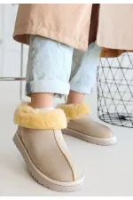 Abby Bej Süet Bot Abby Bej Süet Bot