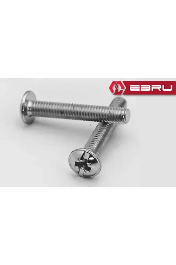 Yuvarlak Yıldız Başlı Rysb Kulp Vidası, Civata M4x22 - 50 Adet Yuvarlak Yıldız Başlı Rysb Kulp Vidası, Civata M4x22 - 50 Adet