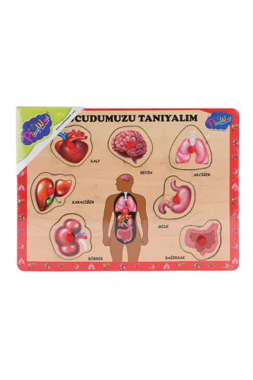ONY-287 288 Ahşap Tutmalı Vücumuzu Tanıyalım -Onyıl Oyuncak ONY-287 288 Ahşap Tutmalı Vücumuzu Tanıyalım -Onyıl Oyuncak