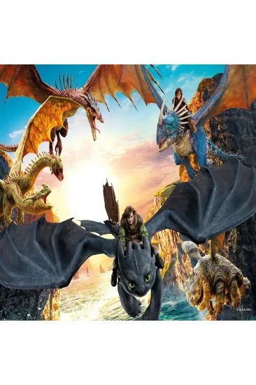HD 714 HOW TO TRAIN YOUR DRAGON PUZZLE 100 PRÇ