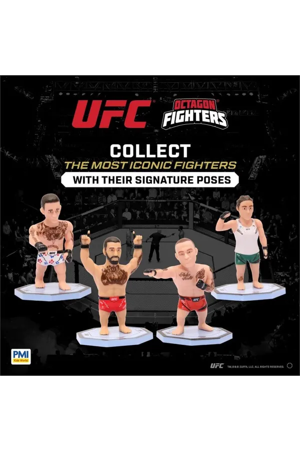 PMI/UFC2009 PMI/UFC2009