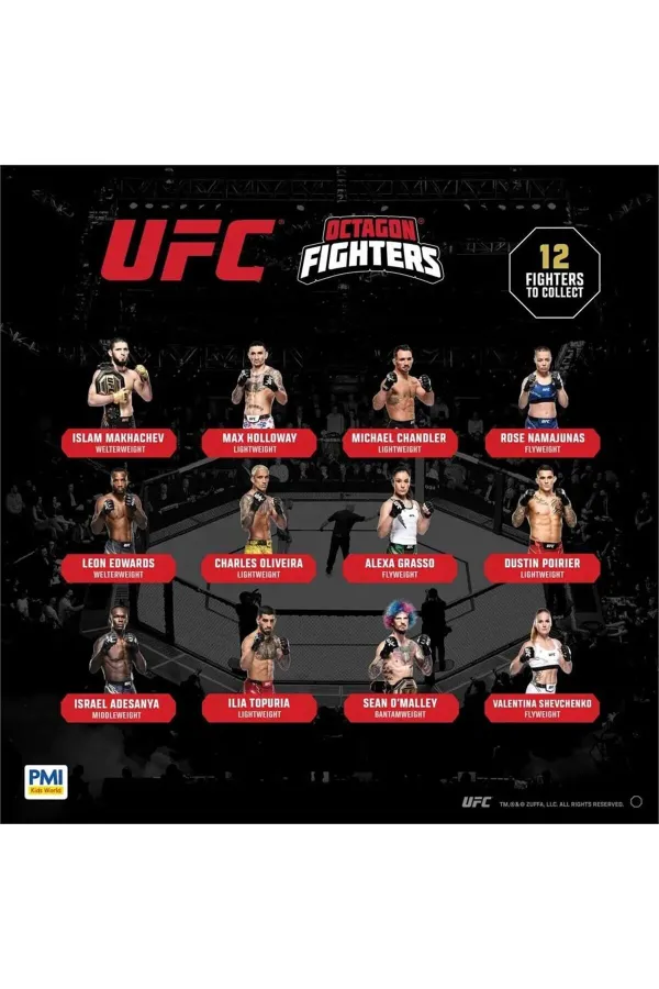 PMI/UFC2009 PMI/UFC2009