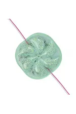 Powermaster 12 Volt 3 Watt Yeşil Yanıp Sönen 6565-2835 Modül Led Powermaster 12 Volt 3 Watt Yeşil Yanıp Sönen 6565-2835 Modül Led